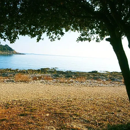 Macan Apartment Bale